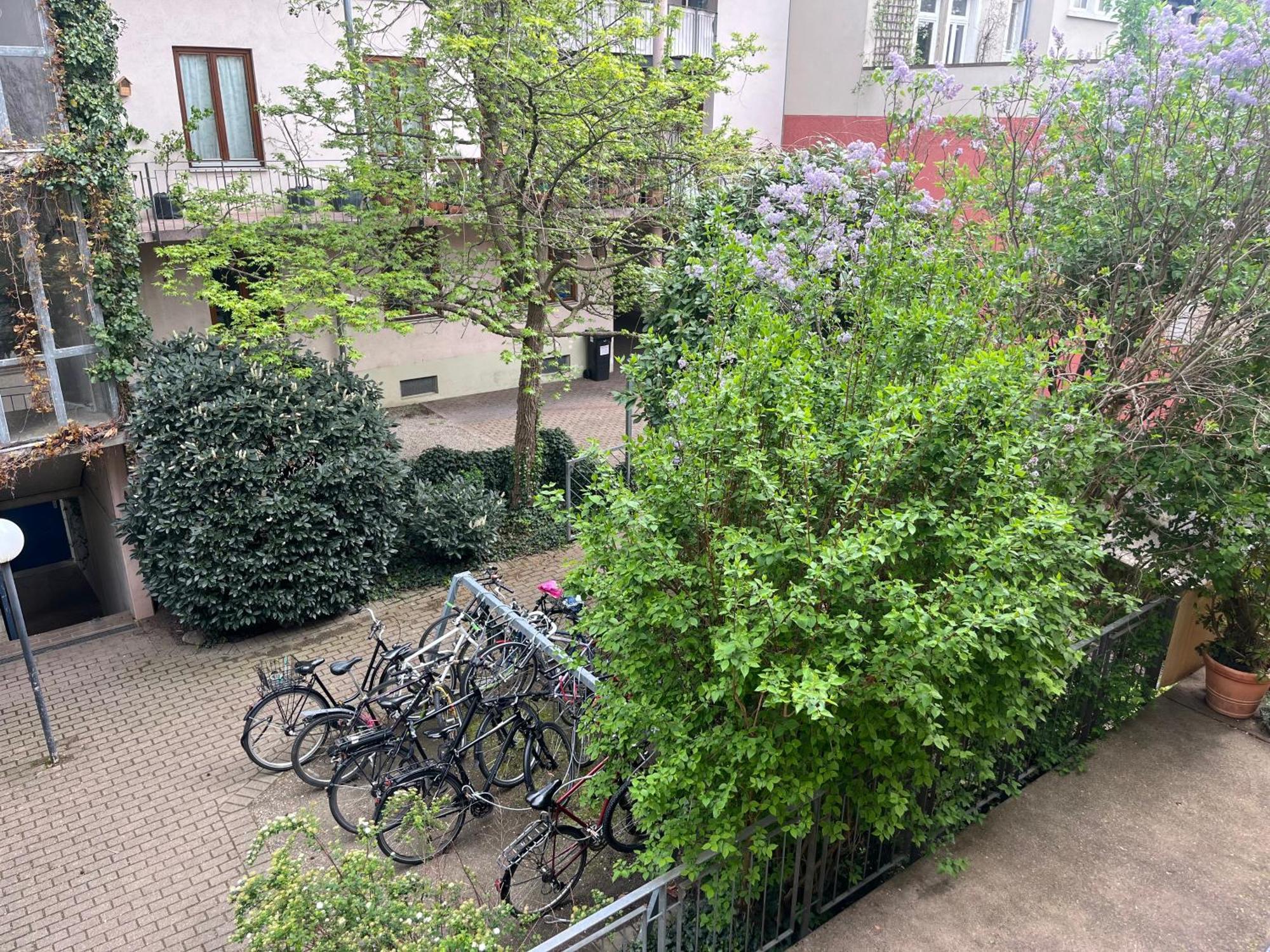 Haus Schoenwald Freiburg im Breisgau Kültér fotó