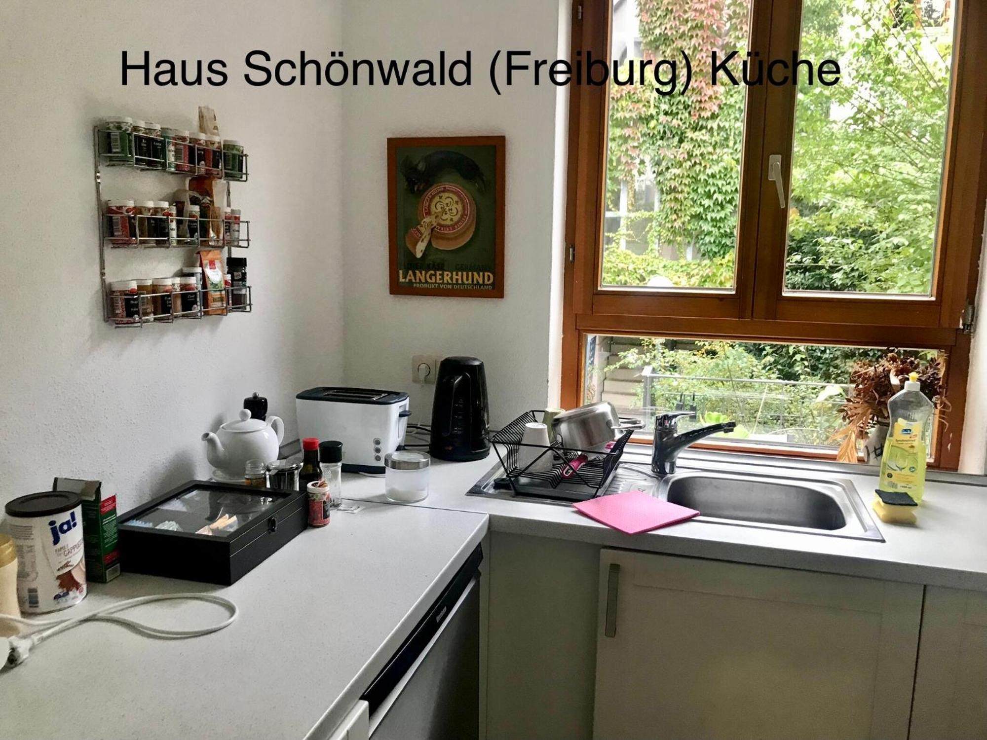Haus Schoenwald Freiburg im Breisgau Kültér fotó