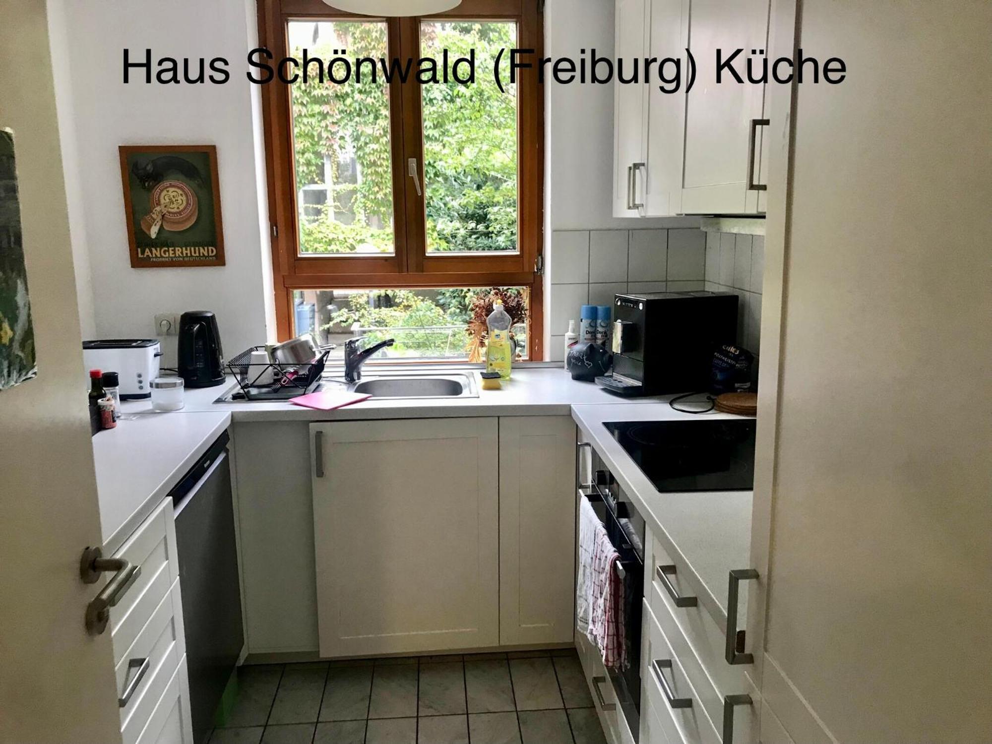 Haus Schoenwald Freiburg im Breisgau Kültér fotó